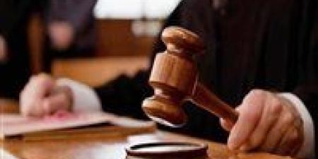 آلية الاستعلام عن وجود استئناف بالقضايا إلكترونيا - هرم مصر