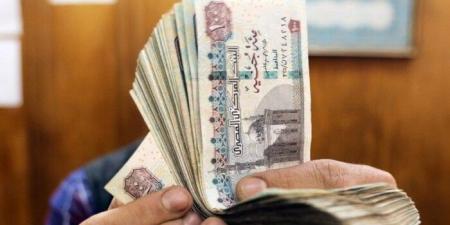 المالية تعلن جدول صرف مرتبات يونيو 2025.. مواعيد وأماكن الصرف - هرم مصر