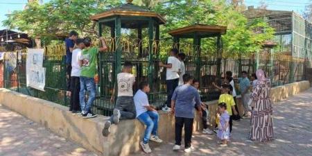 ”الزراعة”: حدائق الحيوان الإقليمية والأسماك بالزمالك استقبلت 38 ألف زائر - هرم مصر