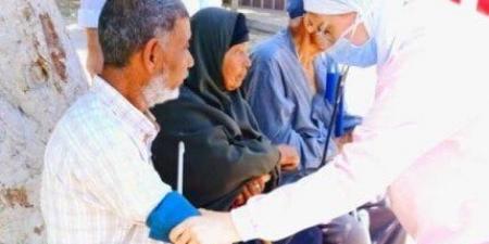 محافظة الإسماعيلية تكثف خدمات الرعاية الصحية الميدانية خلال عيد الأضحى - هرم مصر