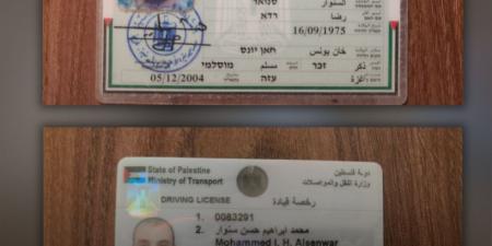 جيش الاحتلال زاعما: العثور على جثمان محمد السنوار - هرم مصر