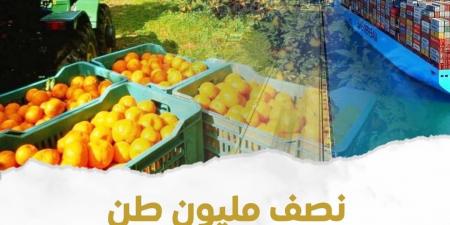 مصر تصدر 4.8 مليون طن منتجات زراعية منذ بداية العام - هرم مصر
