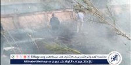 غرفة عمليات مركزية بالدقهلية للتعامل مع حريق بمنطقة خالية داخل مركز إرسال بطره - هرم مصر