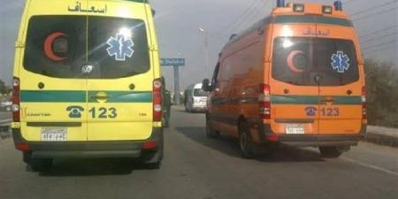 بالأسماء.. مصرع وإصابة 4 في تصادم بطريق وادي النطرون بالبحيرة - هرم مصر