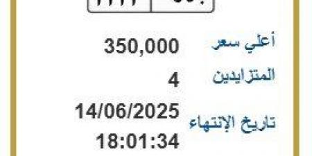بـ 350 ألف جنيه.. طرح التزايد على لوحة سيارة مميزة - هرم مصر