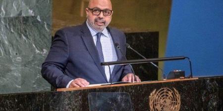المجموعة الخليجية بالأمم المتحدة تؤكد موقفها الداعم للحق الفلسطيني وتطالب برفع الحصار - هرم مصر