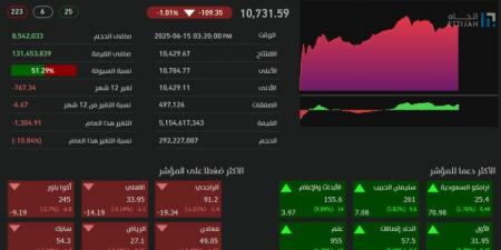 تاسي يغلق منخفضًا عند مستوى (10731) نقطة - هرم مصر