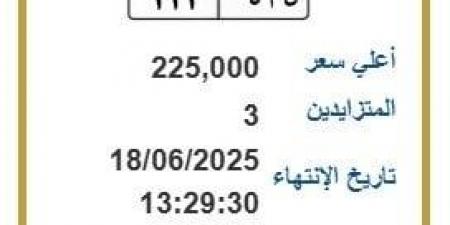 بـ 225 ألف جنيه.. طرح التزايد على لوحة سيارة مميزة - هرم مصر