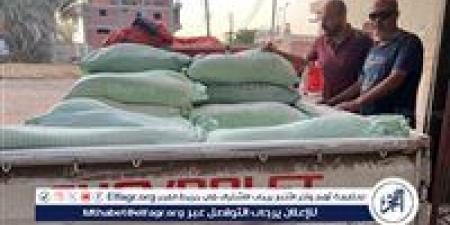 ضبط طنين من الدقيق المدعم قبل بيعها بالسوق السوداء بحملة تموينية ناجحة ببني عبيد في الدقهلية - هرم مصر