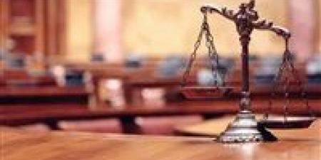 تأجيل محاكمة الطنوبي بتهمة إدارة شبكة إعلامية لدعم الإخوان - هرم مصر