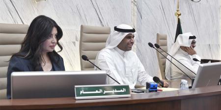 «البلدي» يوافق على تحديث «كود الكويت» لإمكانية الوصول وفق التصميم العام - هرم مصر