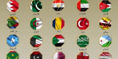 مصر و19دولة إسلامية يؤكدون ضرورة وقف الاعتداءات الإسرائيلية ضد إيران - هرم مصر