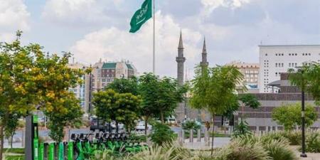 %82 نسبة رضا السكان عن جودة الحياة بالمدينة - هرم مصر