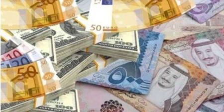 أسعار العملات العربية و الأجنبية في مصر اليوم.. الثلاثاء 17-6-2025 - هرم مصر