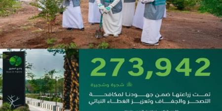 زراعة 273 ألف شجرة في المدينة المنورة ضمن جهود مكافحة التصحّر وتنمية الغطاء النباتي - هرم مصر