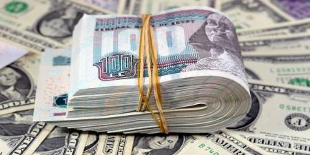 بداية متقلبة لسعر الدولار اليوم في مصر.. إليك آخر التحديثات - هرم مصر