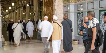تسهيل وصول الزائرين إلى الروضة الشريفة - هرم مصر