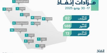 إنفاذ يُشرف على 82 مزادًا لبيع 588 أصلًا - هرم مصر