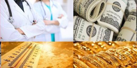 أسعار الدواجن اليوم.. ومنخفض هندي يضرب البلاد.. ومفاجأة بالذهب والدولار.. أخبار التوك شو - هرم مصر