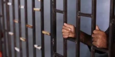 السجن المشدد عقوبة نقل عضو من أعضاء جسد طفل دون موافقة المسئول عنه - هرم مصر