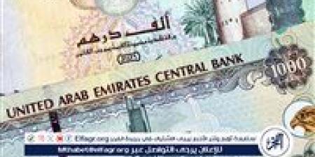 سعر الدرهم الإماراتي في البنك المركزي المصري اليوم 19/6/2025 - هرم مصر