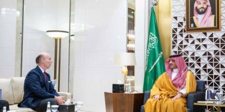 وزير الداخلية وسفير إسبانيا يبحثان «الاهتمام المشترك» - هرم مصر