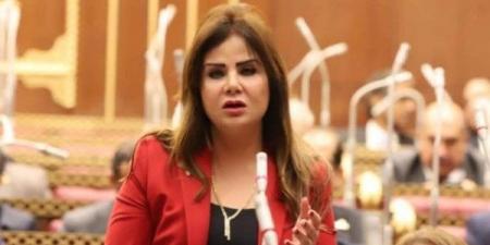 نائبة: إسرائيل تُشعل المنطقة وتدفعها نحو الانفجار.. ومصر تخوض معارك لإنقاذ الشرق - هرم مصر