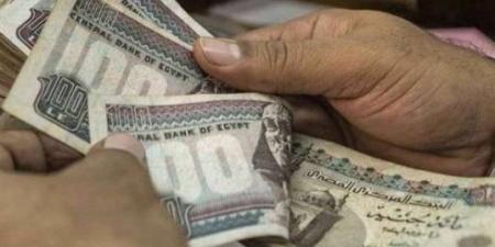 قانون العلاوة يدخل حيز التنفيذ في يوليو 2025.. تعرف على الزيادات المنتظرة - هرم مصر