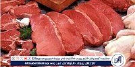 أسعار اللحوم البلدي والكندوز اليوم الخميس 19-6-2025 في الأسواق ومحال الجزارة بقنا - هرم مصر