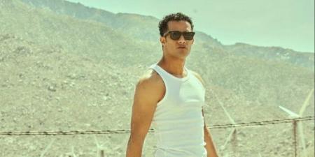تفاصيل حفل غنائي يجمع محمد رمضان وهيفاء وهبي - هرم مصر