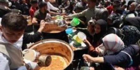 استشهاد 26 فلسطينيا وسط قطاع غزة حول شاحنات المساعدات - هرم مصر
