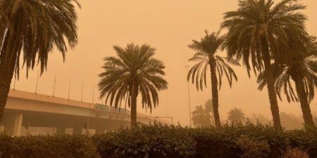 الأرصاد الجوية الكويتية تحذر: رياح نشطة مثيرة للغبار مع انخفاض للرؤية الأفقية - هرم مصر
