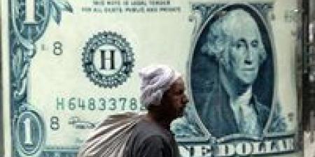 " تحديث اخير " سعر الدولار وفق البنك المركزي 20/6/2025 للبيع والشراء - هرم مصر