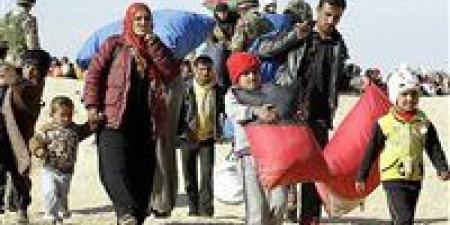 في اليوم العالمي اللاجئين.. تعرف على جهود مصر - هرم مصر