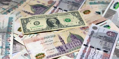 سعر الدولار في مصر اليوم الجمعة 20-6-2025.. هل تستمر موجة الارتفاع؟ - هرم مصر