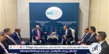 وزير الخارجية والهجرة يلتقي نظيره العراقي في أسطنبول - هرم مصر