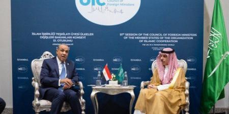 مصر والسعودية تناقشان تداعيات التصعيد بين إسرائيل وإيران على المنطقة - هرم مصر