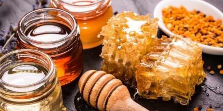 عسل الكاليبتوس قوة شفائة المذهلة - هرم مصر