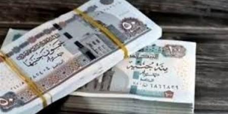 صرف مرتبات يوليو بالزيادات الجديدة.. متى؟ - هرم مصر