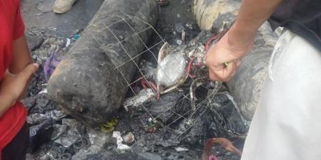 3محلات ومنزل.. انفجار أسطوانة غاز وراء حريق سوق فيصل.. صور - هرم مصر