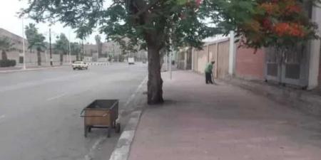 حملات نظافة مكثفة في الغربية لإعادة رونق الشوارع وتجميل الميادين - هرم مصر
