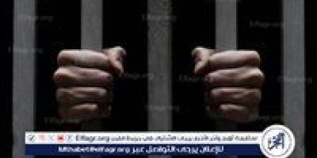 المشدد 15 عاما لعاملين لاستعراضهما القوة وإصابة شخص بعاهة مستديمة بالقليوبية - هرم مصر