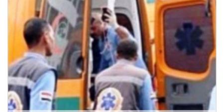 مصرع شخص تحت عجلات القطار خلال عبوره السكة الحديد فى أسوان - هرم مصر