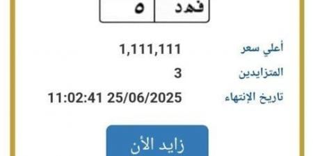 تخطت الـ «مليون جنيه».. مزايدة نارية على لوحة سيارة مميزة - هرم مصر