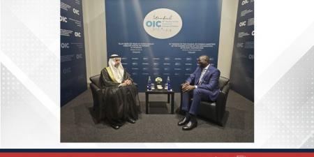 وكيل وزارة الخارجية للشؤون السياسية يجتمع مع رئيس البعثة الإقليمية للجنة الدولية للصليب الأحمر لدى دول مجلس التعاون لدول الخليج العربية - هرم مصر