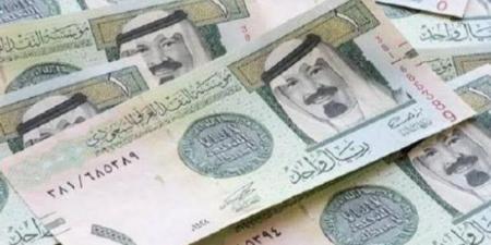 سعر الريال السعودي مقابل الجنيه اليوم الأحد 22 يونيو - هرم مصر