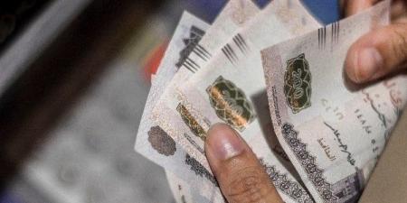 بالزيادة الجديدة.. موعد صرف مرتبات شهر يوليو 2025 - هرم مصر