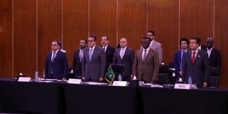 وزير الصحة والسكان يفتتح اجتماع اللجنة التوجيهية الإقليمية ReSCO - هرم مصر