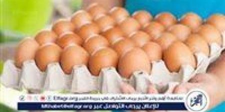 أسعار طبق البيض اليوم الاثنين 23-6-2025 في قنا - هرم مصر