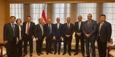 وزير الاستثمار يبحث مع شركات صينية فرص التعاون في الطاقة وتحلية المياه والصناعات الاستراتيجية - هرم مصر